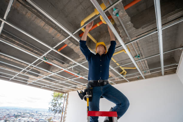 Best Gas Line Repair  in Palisade, CO