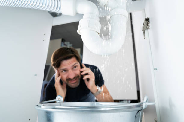 Best Sewer Cleaning Services  in Palisade, CO