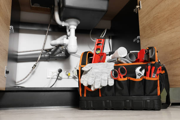 Best Same-Day Plumbing Service  in Palisade, CO