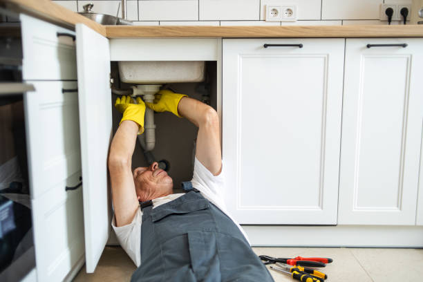 Best Plumbing Inspection Services  in Palisade, CO