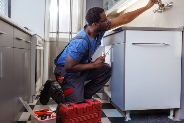 Best Water Softener Installation  in Palisade, CO